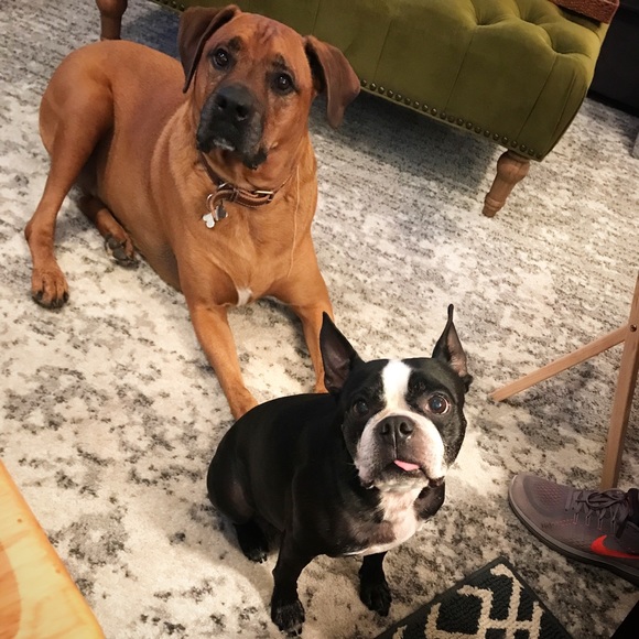 Meet your Posher, Patricia - Picture 5 of 8